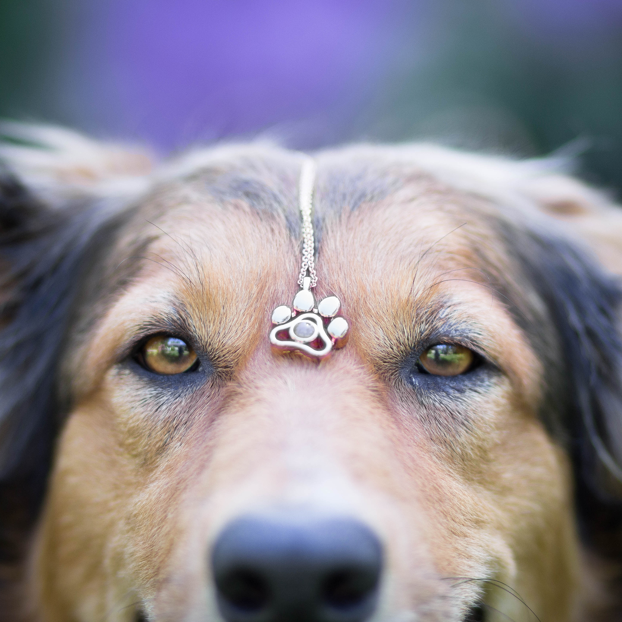 Personalized pet photo necklace